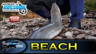 Shore fishing for BEGINNERS  Cod and Conger Eels  TAFishing Show [upl. by Lenci564]