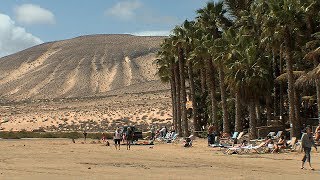 FUERTEVENTURA  Kanaren quotInselparadies für Badeurlauber und Windsurferquot CANARIAS [upl. by Norre505]