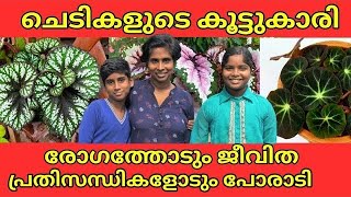 Largest Begonia collections in Kerala  How to grow and propogate Begonia Amazing Begonia plants [upl. by Vasyuta]