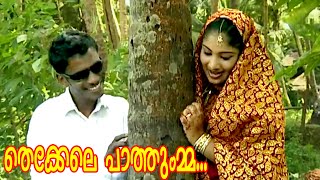 തെക്കേലെ പാത്തുമ്മ  Malayalam Mappila Songs  Malayalam Album Songs 2015 HD [upl. by Altman]