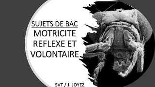 SUJETS BAC Motricité 2 [upl. by Dearborn]