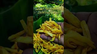 Jackfruit Chips  Chakka Varuthath shorts chips jackfruitfry kerala jackfruit jackfruitchips [upl. by Ardelia]