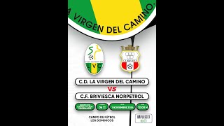 Resumen CD Virgen del Camino  CF Briviesca [upl. by Ruhl]