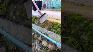 This boy earns many dollars a month by cleaning the streets 😱 amazing shortvideo [upl. by Adnohr]