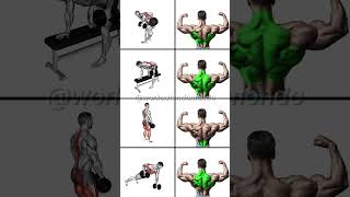 STRONGER Back with DUMBBELLS Best Dumbbell Back Workout [upl. by Currey]