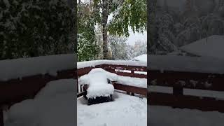 A snow storm in September in alaska alaska alaskan alaskalife alaskawinter winter [upl. by Stuart537]