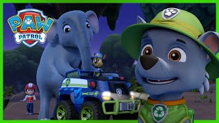 Los cachorros salvan elefantes  PAW Patrol Episodio Español  Patrulla de Cachorros Español [upl. by Naivaj]