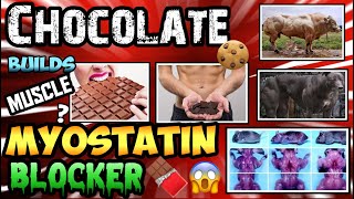 CHOCOLATE IS ANABOLIC  BLOCK MYOSTATIN amp INCREASE FOLLISTATIN W EPICATECHIN 🧬🐂MYOSTATIN MONDAY🧬🐂 [upl. by Adnavoj]