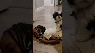 my dog tickled malaika [upl. by Yellek]