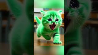 O gatinho bruxo transforma gatos em frutas 🍓🙀 cat cute gatinhofofinho kitten [upl. by Dixil247]