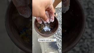 Congelei as bolinhas de gel com SAL 😱❄️🧂 irmãosmedeiros [upl. by Hyo]