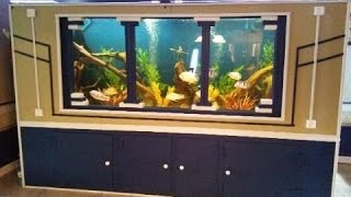 DIY 1150 gallon plywood aquarium Part 3 UPDATE [upl. by Eirelav774]