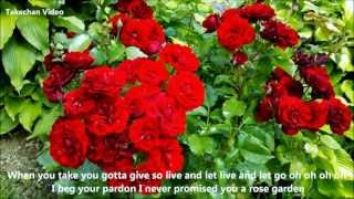 Rose Garden Lyrics Lynn Anderson [upl. by Ignacia]