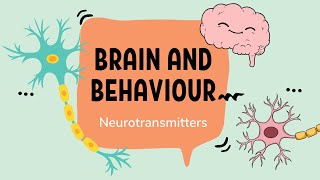 IB Psychology – Neurotransmission and Neurotransmitters [upl. by Anallij10]