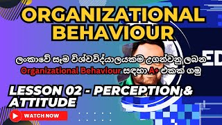 Organizational Behaviour Lesson 02 Perception amp Attitude [upl. by Afira]