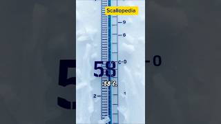 Oymyakon Coldest City in the World encyclopedia oymyakon temperature [upl. by Enileve]