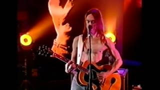 Iggy Pop  I wanna be your dog acoustic [upl. by Wertheimer]