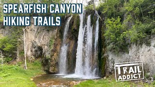 Spearfish Canyon Hiking Trails [upl. by Clovis]