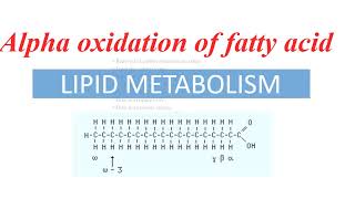 Alpha oxidation of fatty acidRefsum diseasePhytanic acid oxidationShiv Bhadra Singh [upl. by Eilime]