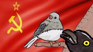 Annoyed Bird BUT Its RUSSIA [upl. by Llednek453]