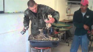 Thread Grafting Ficus Bonsai  Wigerts Bonsai Nursery [upl. by Goddart]