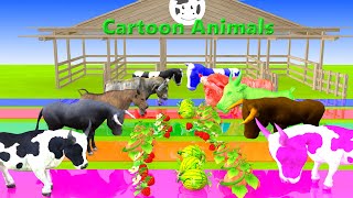 Paint Animals cow lion dinosaur elephant bear checken leopard hippo dog cat  Paint Color part35 [upl. by Nort]