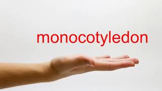 How to Pronounce monocotyledon  American English [upl. by Gibby]