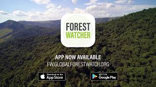 Forest Watcher App Helps Rangers Detect Illegal Logging [upl. by Enneira224]