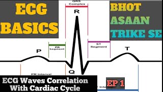 ECG basics in hindi  ECG interpretation Made Easy How to read ECG in hindi  EP 1 [upl. by Leahcim]