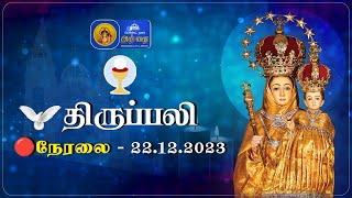 🔴 LIVE  Holy Mass In Tamil  22nd December 2023  Annai Vailankanni Shrine  besantnagarannai [upl. by Plafker412]