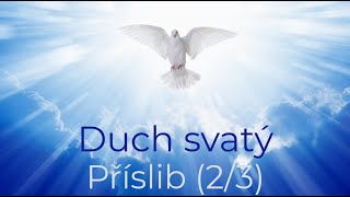 Základní pravdy víry Duch svatý  příslib 23 [upl. by Yarvis]