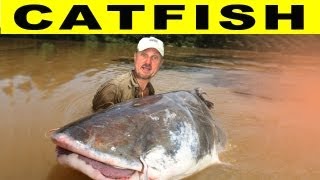 CRAZY CATFISH  Amazon River Monsters [upl. by Eraste]