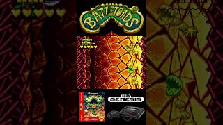 Battletoads Gameplay genesis megadrive sega battletoads 16bits gameplay boss [upl. by Yssak]