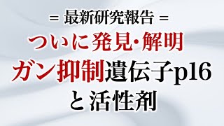 ついに発見・解明 ガン抑制遺伝子p16と活性剤 [upl. by Yssirc]