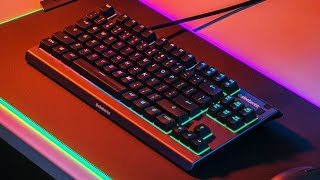 SteelSeries Apex 3 TKL  best budget gaming keyboard on Amazon watch before buy [upl. by Gillian]