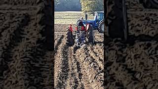 Massey Ferguson 35 Tractor with Ransomes at Newbury Ploughing Match  Saturday 19th October 2024 [upl. by Packton]