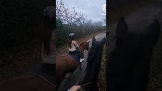 cheval equitation horse chevalpassion animaux chevaux life vlog mydaughter [upl. by Deuno]