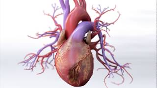 What is Coronary Artery Disease  Mechanism of Disease [upl. by Delcina]