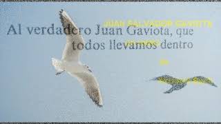 Juan Salvador Gaviota de Richard Bach audio libro  completo [upl. by Perloff]