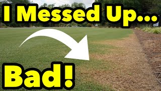 How To Repair Round Up Damaged Grass in A Lawn And Make It Green Again [upl. by Hevak243]