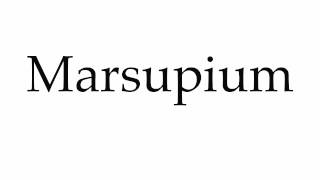 How to Pronounce Marsupium [upl. by Hyps]