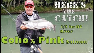 Htc 04 13 BC River Coho and Pink Salmon [upl. by Lynus580]