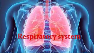 Respiratory physiology Lecture 2 Intrapleural and intrapulmonary pressures [upl. by Eintruok]