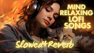 Mind 💕 Relaxing Lofi Mashup  MOOD FRESH LOFI 💕 SONGS  slowedandreverb hindisongslofimix dj [upl. by Nahtanha]