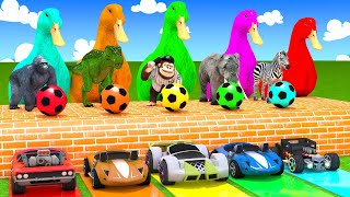 5 Giant Duck Cartoon Cow Giraffe Elephant Lion Paint Wild Animals Crossing Fountain Animation [upl. by Ssilem]