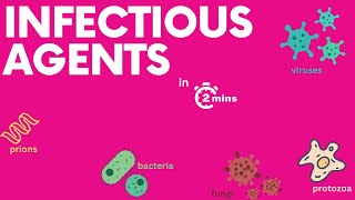 Infectious diseases in 2 minutes [upl. by Ahsrav]