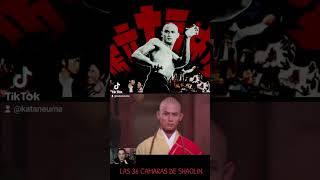 Shao Lin San Shi Liu Fang cine mubi shaolin kataneuma directo peliculas [upl. by Halueb]