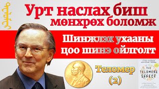 Теломерийг уртасгах хоол хүнс дасгал хөдөөлгөн эм бэлдмэл ба анхаарах зүйл Теломерийн нөлөө（2） [upl. by Crescint254]