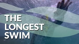 THE LONGEST SWIM across the Pacific Ocean [upl. by Canning311]