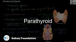 Parathyroid Biology Lecture  Sabaqpk [upl. by Weinhardt]